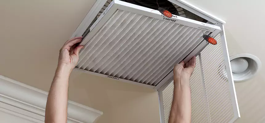 Preventive Cockroach-Proofing for Ducts in Hot Springs