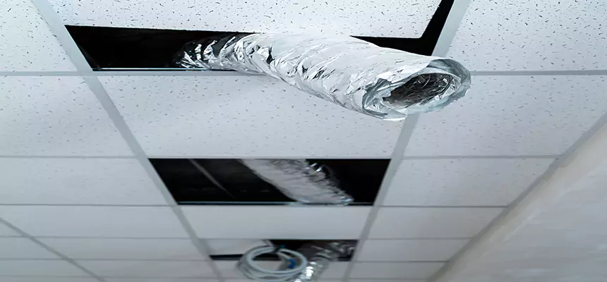 Affordable HVAC Sanitizing After Pest Removal in Hot Springs