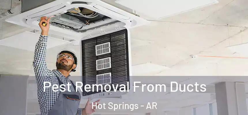  Pest Removal From Ducts Hot Springs - AR