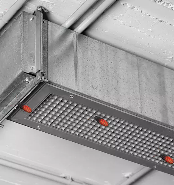 About Air Duct Cockroach Removal in Hot Springs, AR